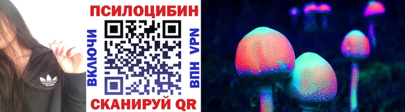 Галлюциногенные грибы ЛСД  Купить закладки  Зея 